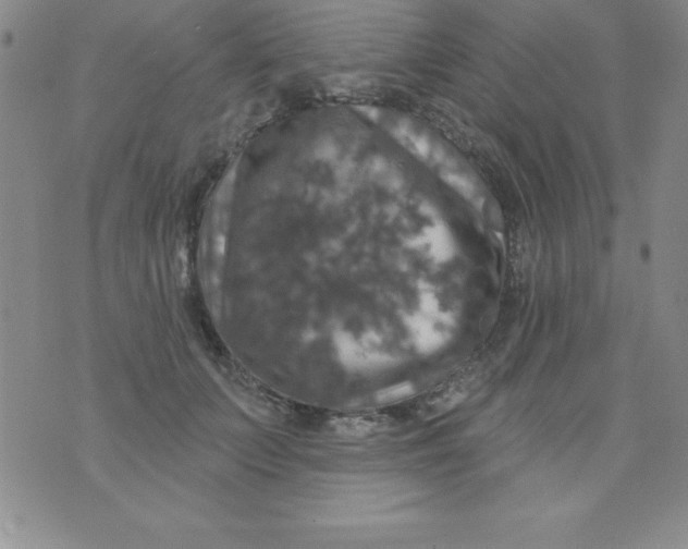 X0000075900703200610062118