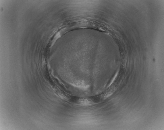 X0000075900704200610062118