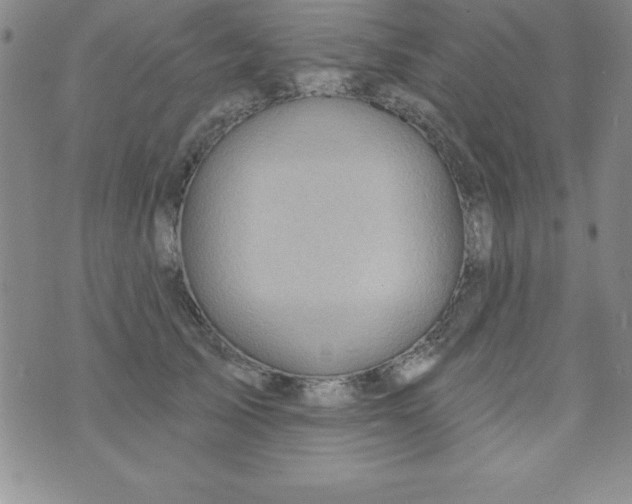 X0000075900705200610062118