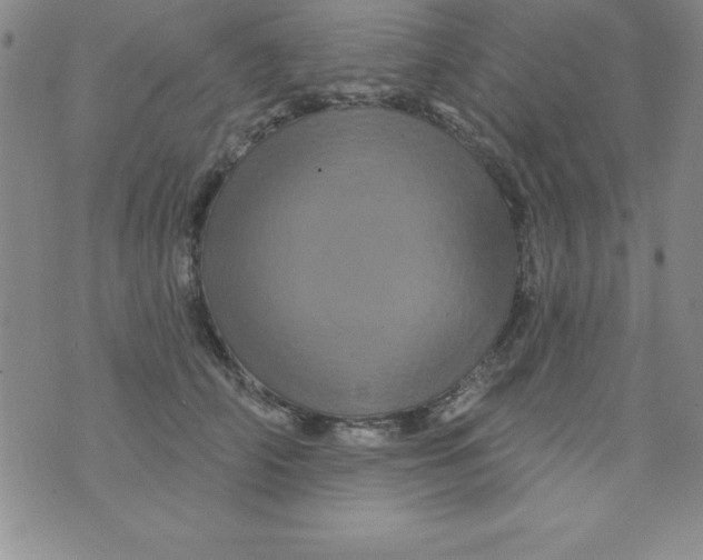 X0000075900706200610062118