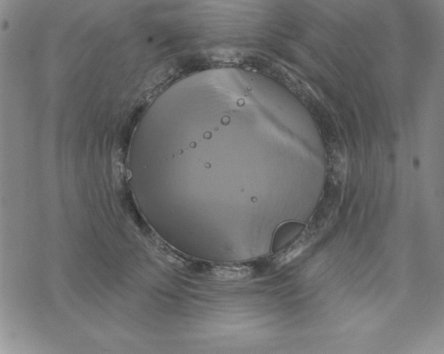 X0000075900707200610062118