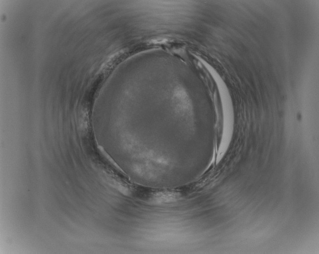 X0000075900708200610062118