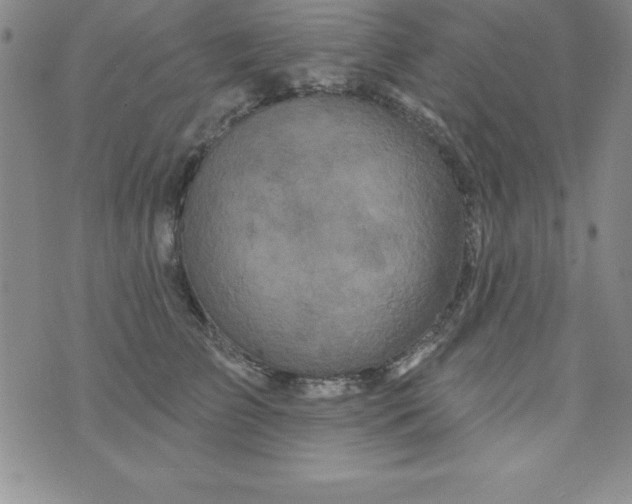 X0000075900709200610062118