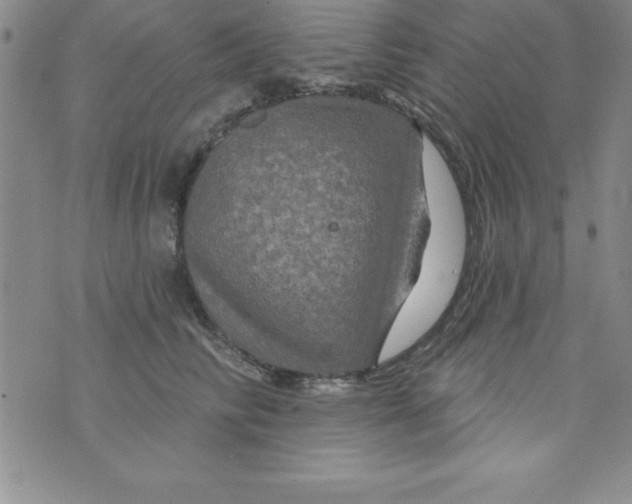 X0000075900710200610062118