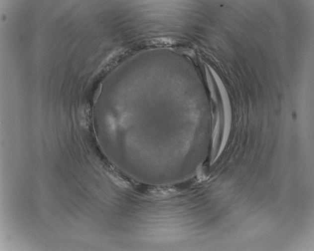 X0000075900712200610062118