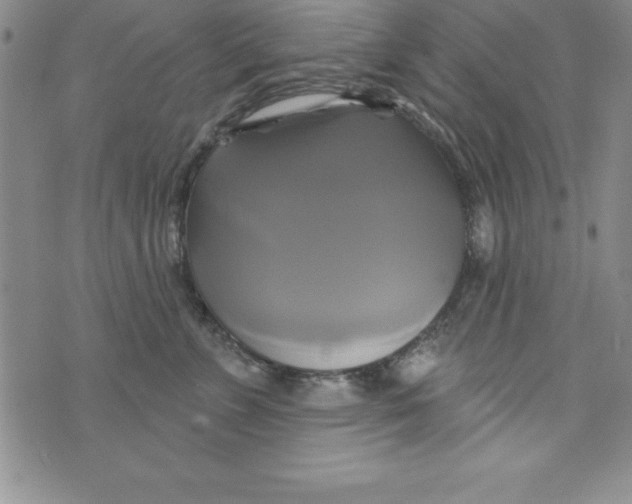 X0000075900715200610062118