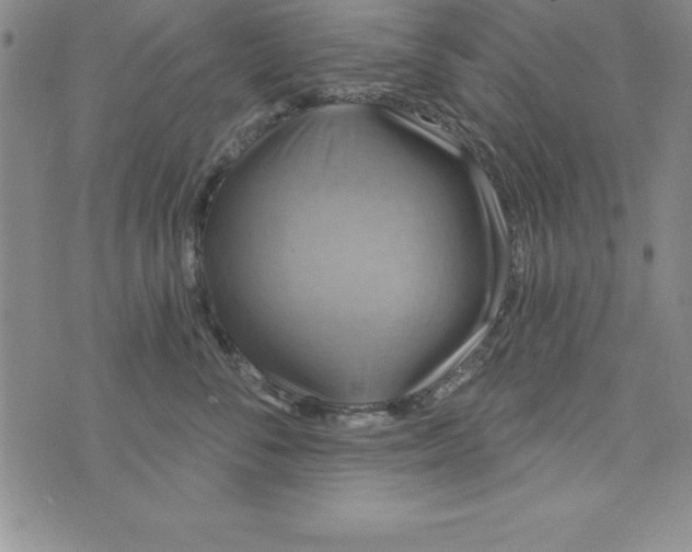 X0000075900716200610062118