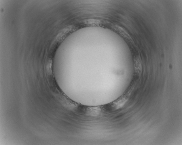 X0000075900717200610062118