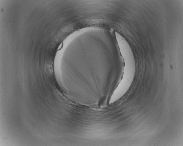 X0000075900718200610062118