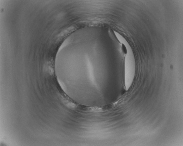 X0000075900719200610062118