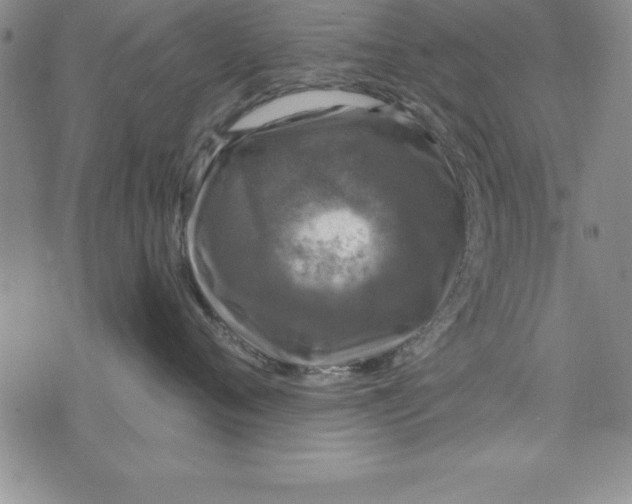 X0000075900720200610062118