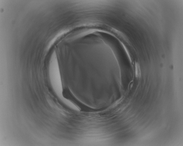 X0000075900723200610062117