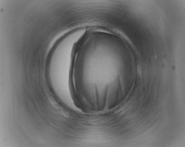 X0000075900724200610062117