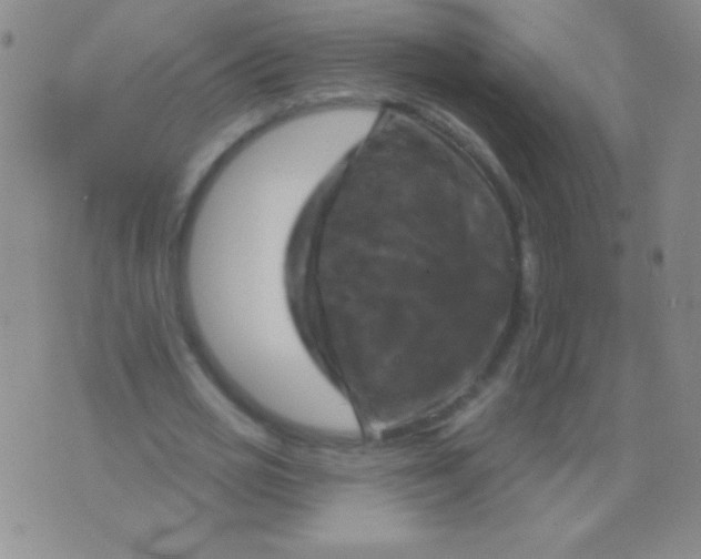 X0000075900725200610062117