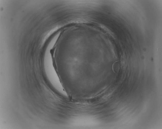 X0000075900727200610062117