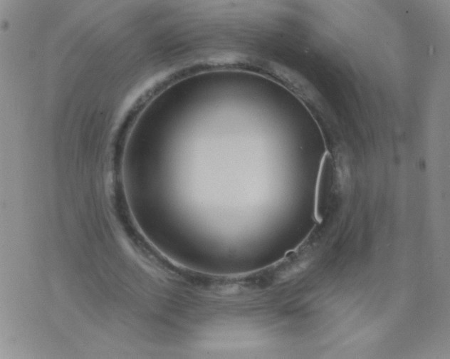 X0000075900728200610062117