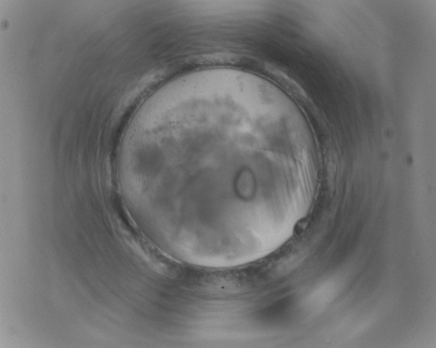 X0000075900729200610062117