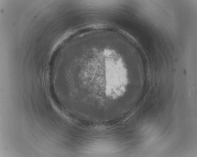 X0000075900730200610062117