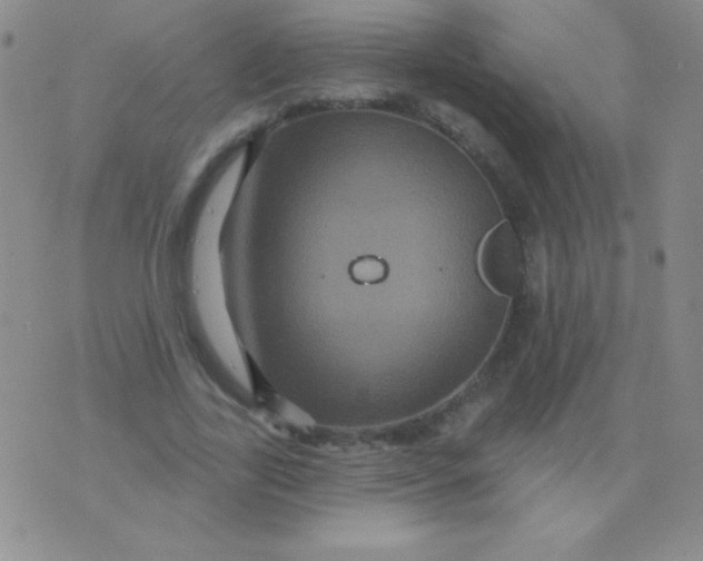 X0000075900731200610062117