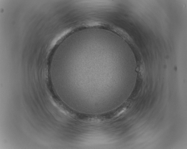 X0000075900732200610062117