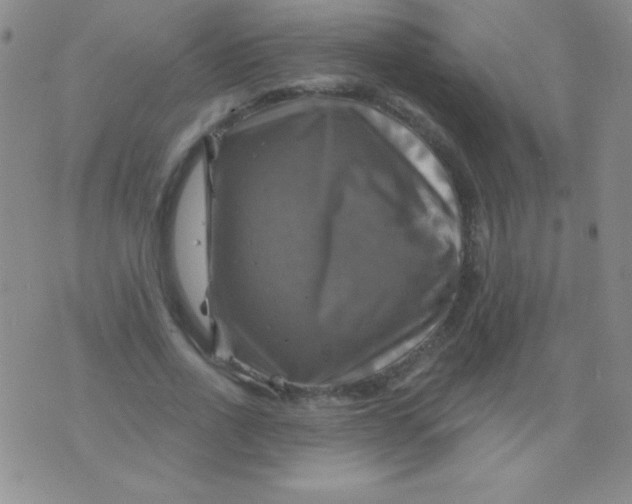 X0000075900734200610062117