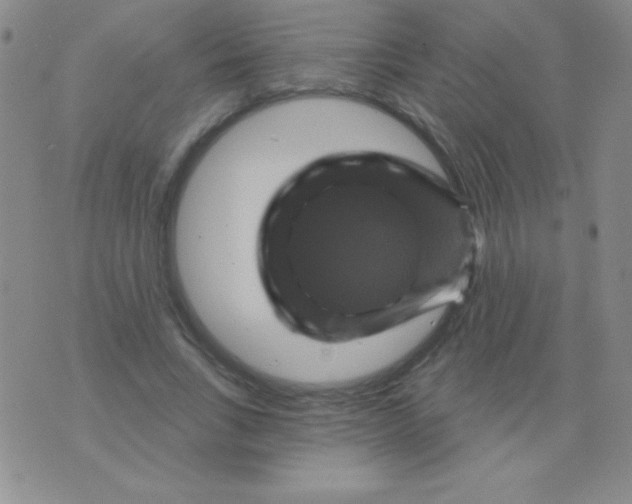 X0000075900735200610062117