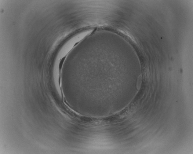 X0000075900736200610062117