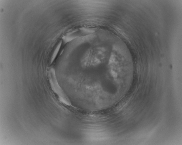 X0000075900737200610062117