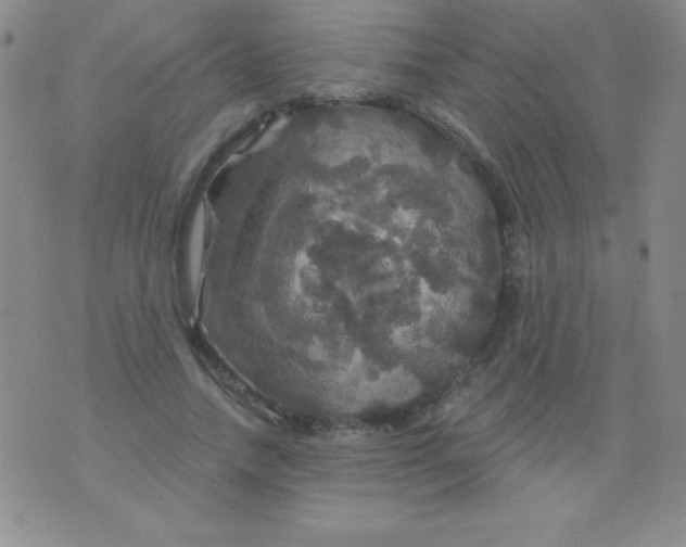 X0000075900738200610062117