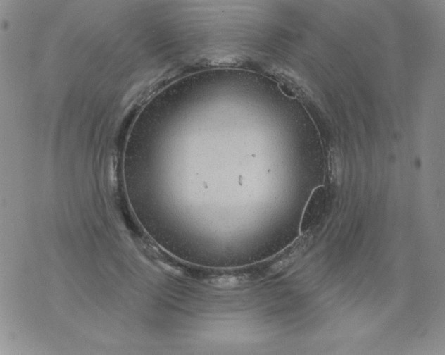 X0000075900740200610062117