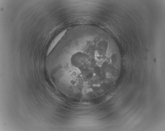 X0000075900741200610062117