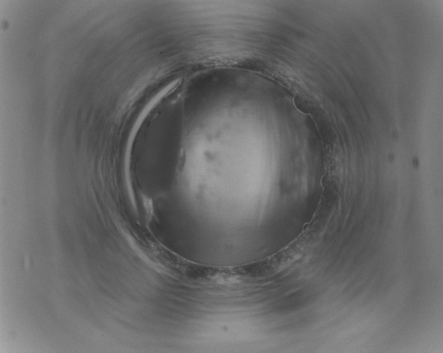 X0000075900742200610062117