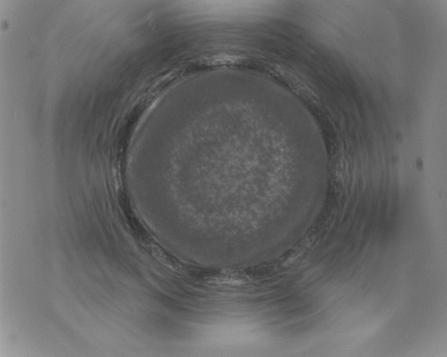 X0000075900743200610062117