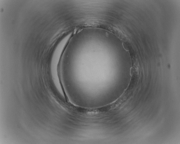 X0000075900744200610062117