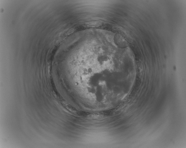 X0000075900745200610062117