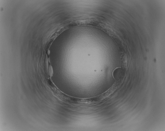 X0000075900746200610062117