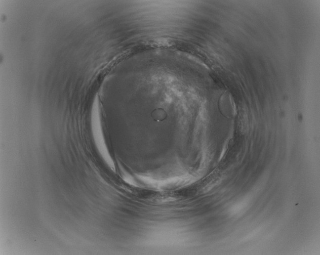 X0000075900747200610062117