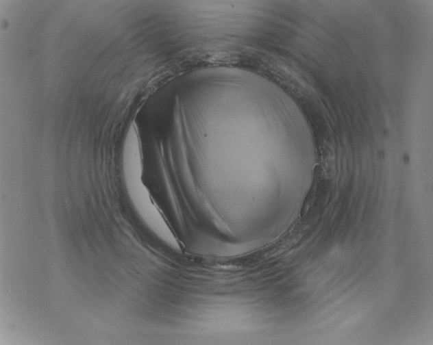 X0000075900748200610062117