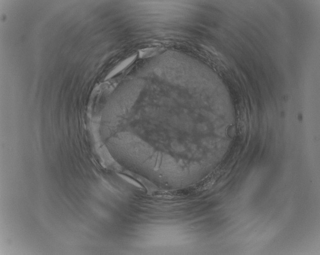 X0000075900749200610062117