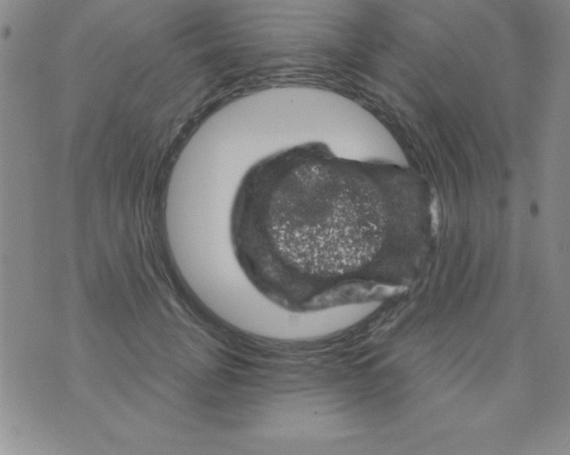 X0000075900751200610062117