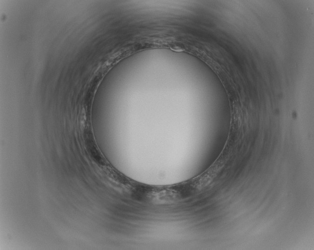 X0000075900752200610062117