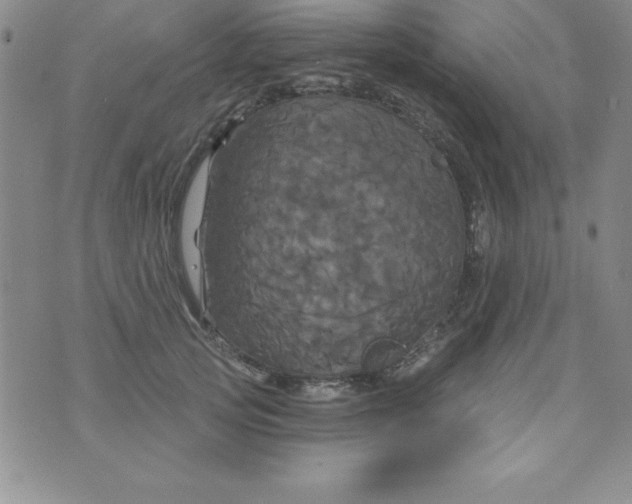 X0000075900753200610062117