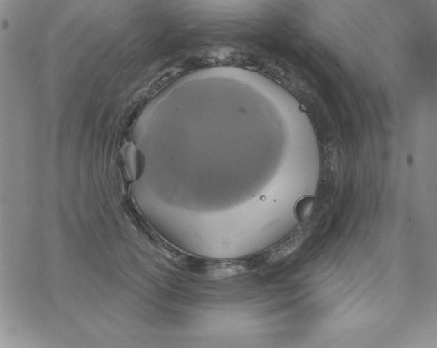 X0000075900754200610062117