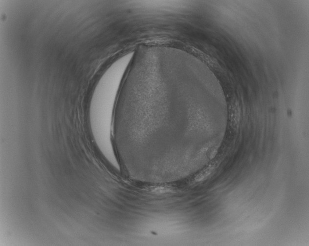 X0000075900755200610062117