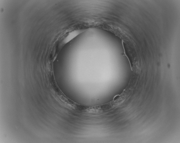 X0000075900756200610062117