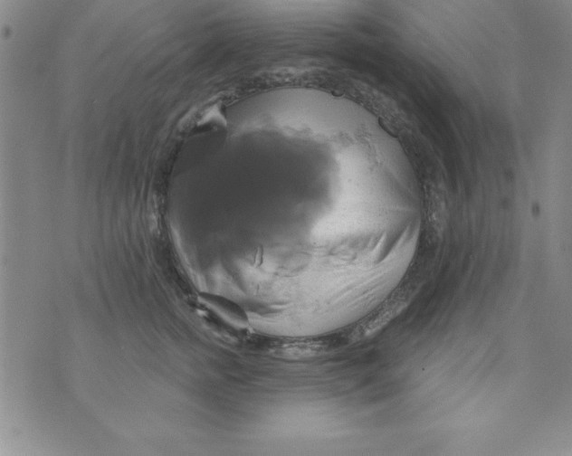 X0000075900758200610062117