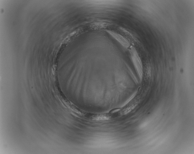 X0000075900759200610062117