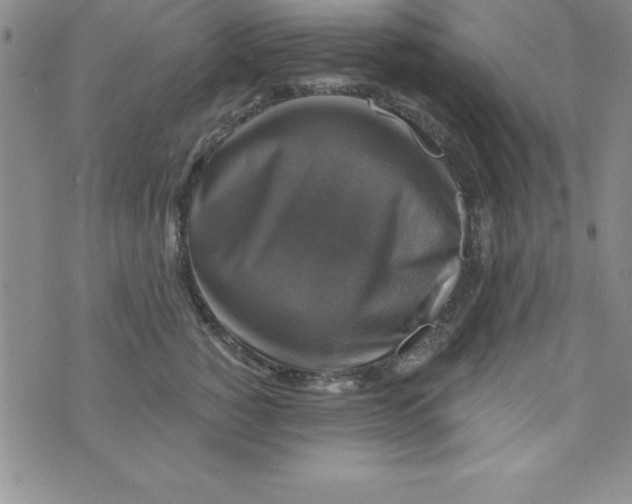 X0000075900760200610062117