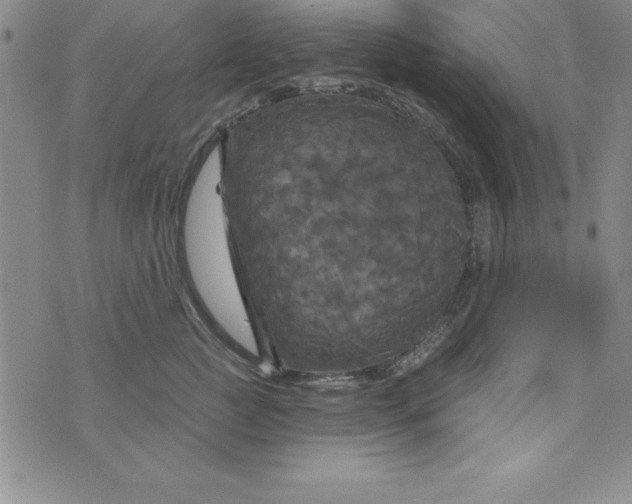 X0000075900761200610062117