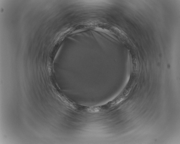 X0000075900762200610062117